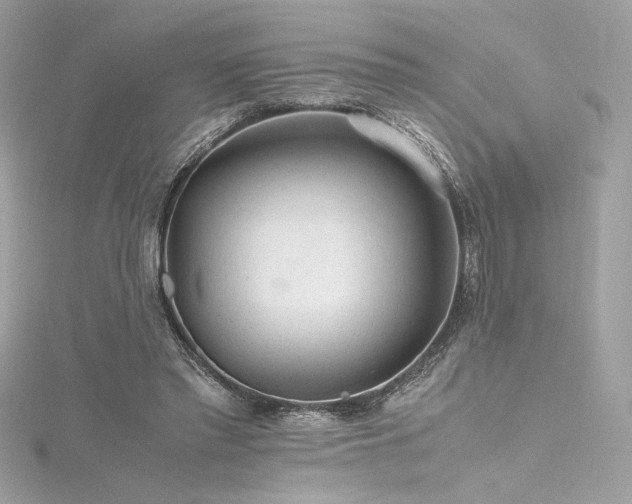 X0000116310397200911301507