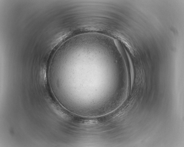 X0000116310398200911301507