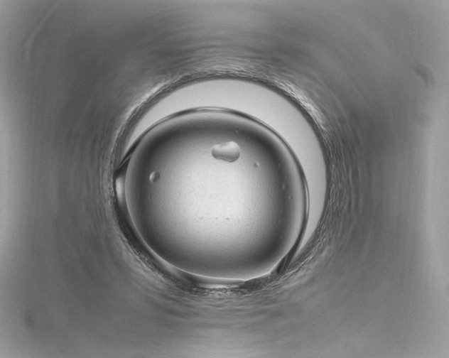 X0000116310399200911301507