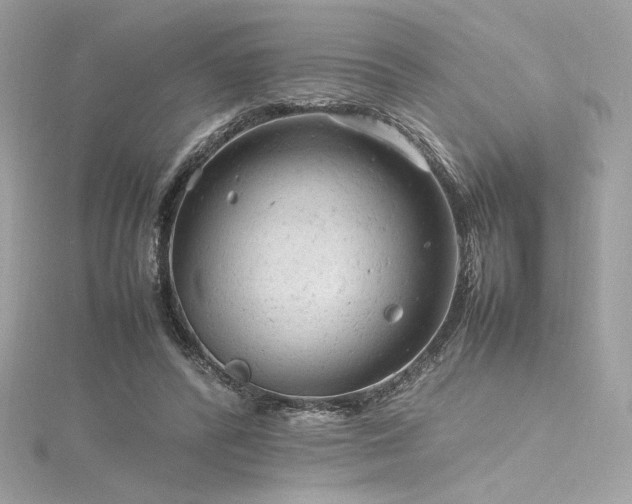 X0000116310400200911301507