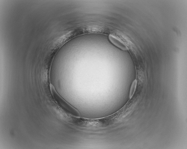 X0000116310401200911301507