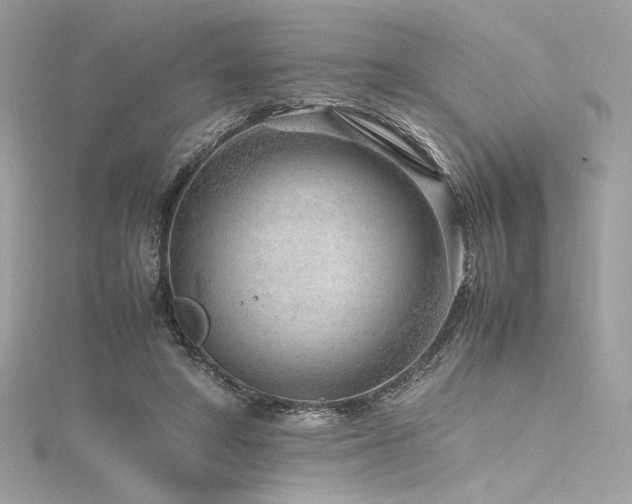 X0000116310402200911301507