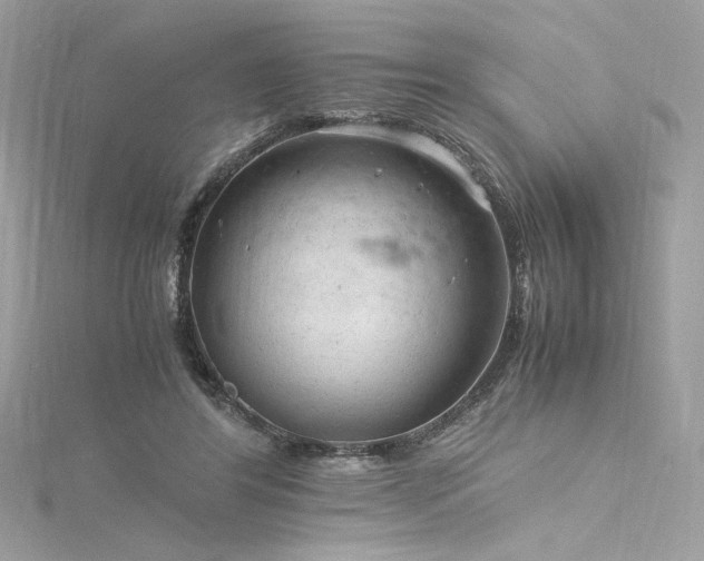 X0000116310404200911301507