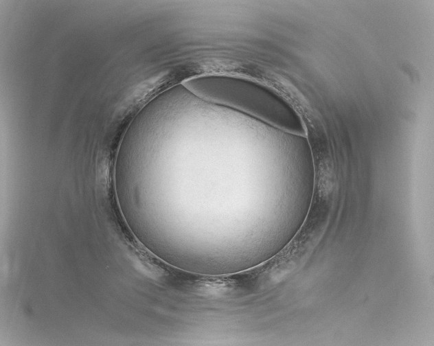 X0000116310405200911301507