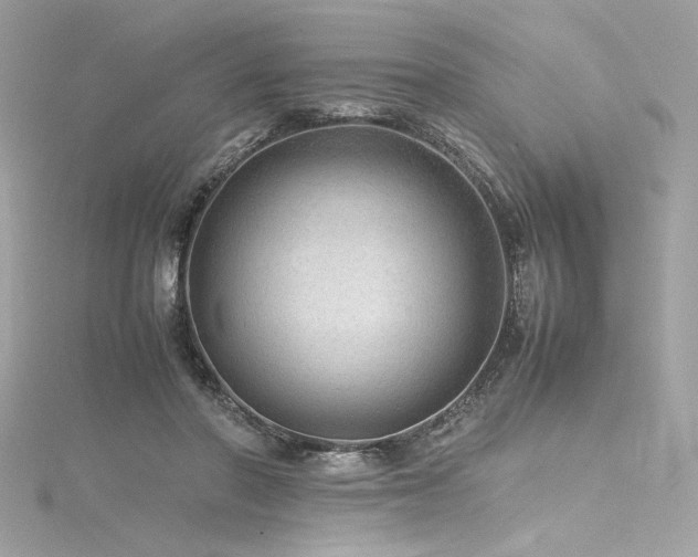 X0000116310406200911301507