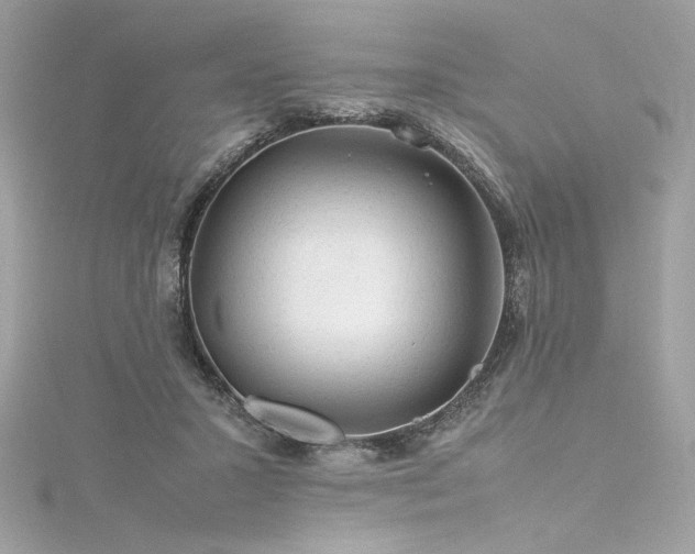 X0000116310407200911301507