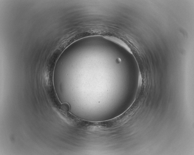 X0000116310408200911301507