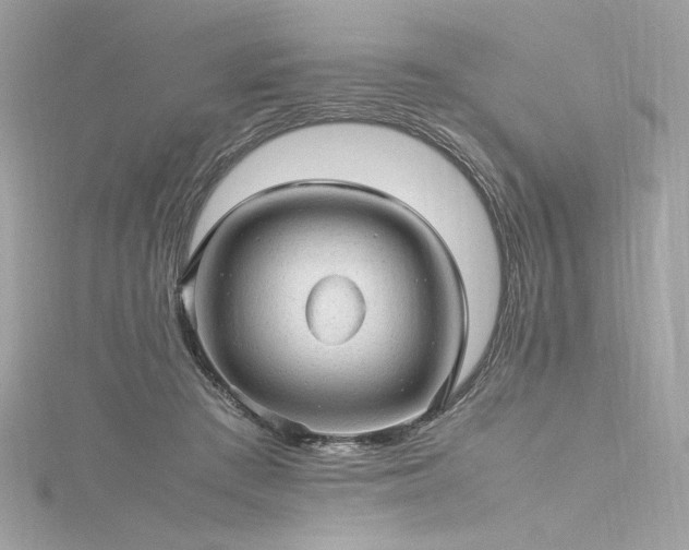 X0000116310409200911301507