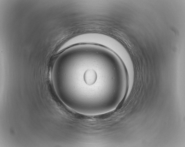 X0000116310411200911301507