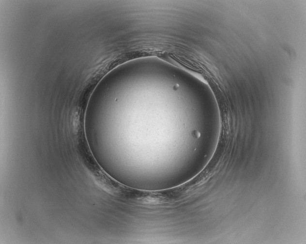 X0000116310412200911301507