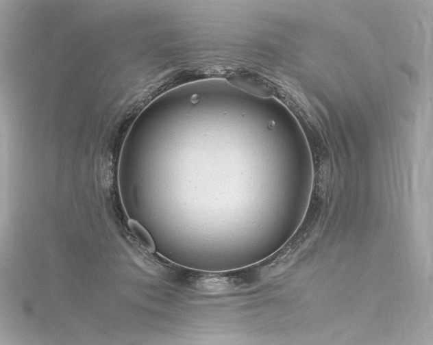 X0000116310413200911301507