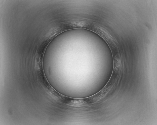 X0000116310414200911301507