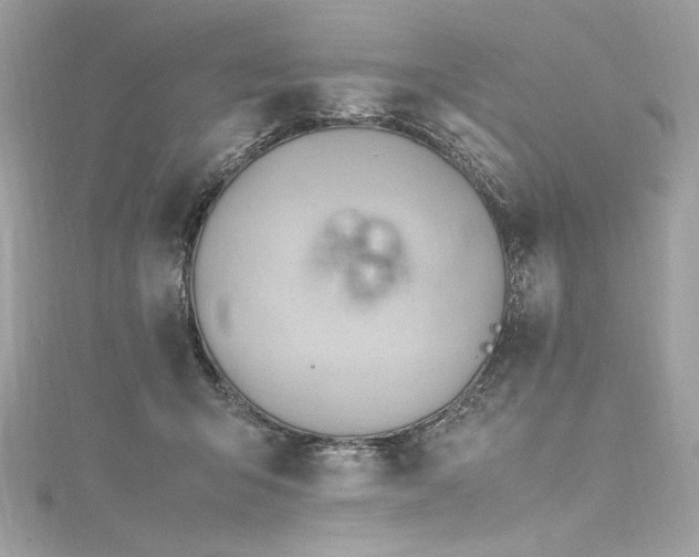 X0000116310415200911301507