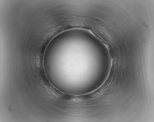 X0000116310416200911301507