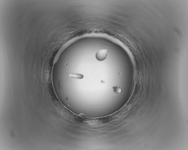 X0000116310417200911301507