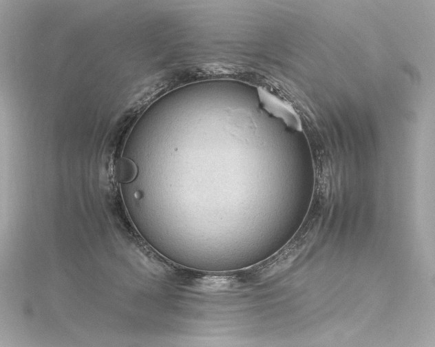 X0000116310418200911301507