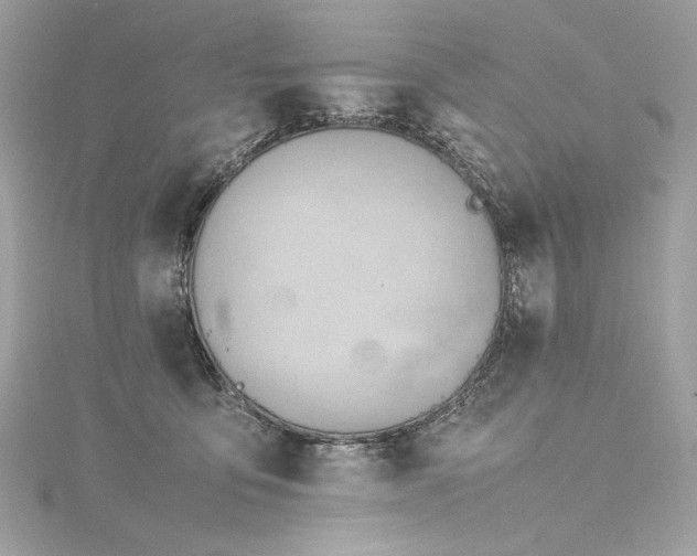 X0000116310419200911301507