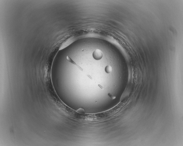 X0000116310420200911301507