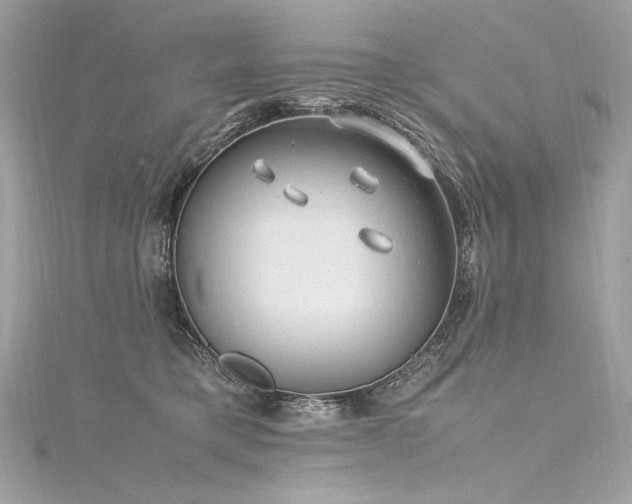 X0000116310421200911301507