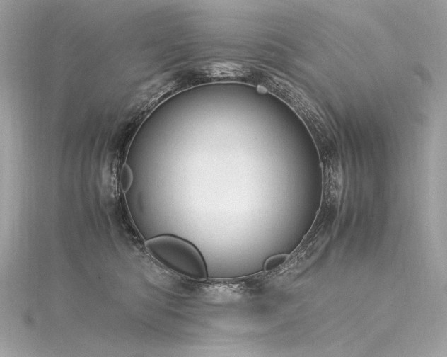 X0000116310422200911301507