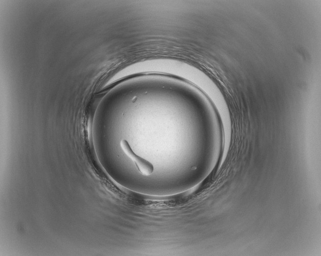 X0000116310423200911301507