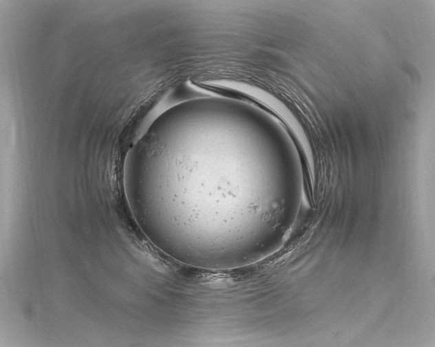 X0000116310424200911301507