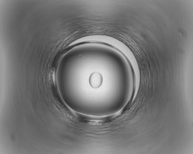 X0000116310425200911301507