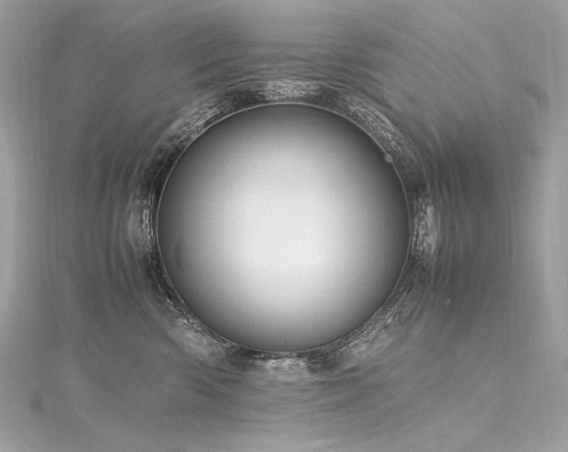 X0000116310426200911301507