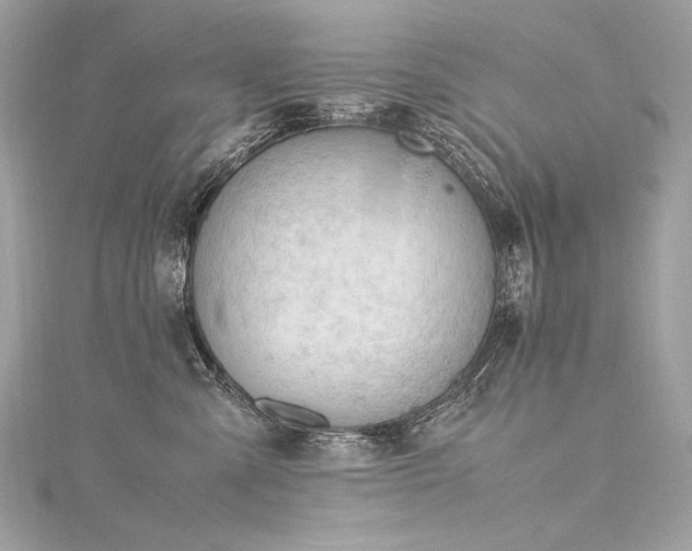 X0000116310427200911301507