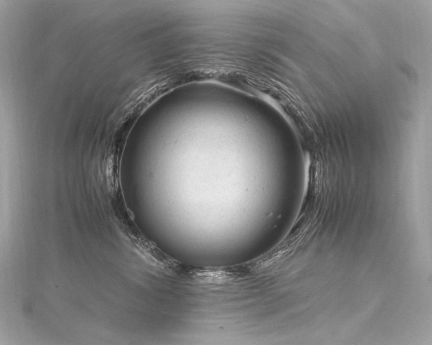 X0000116310428200911301507