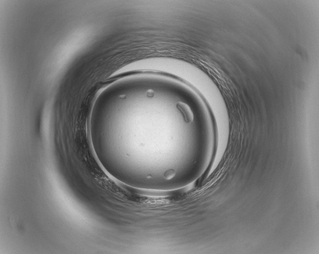 X0000116310429200911301507