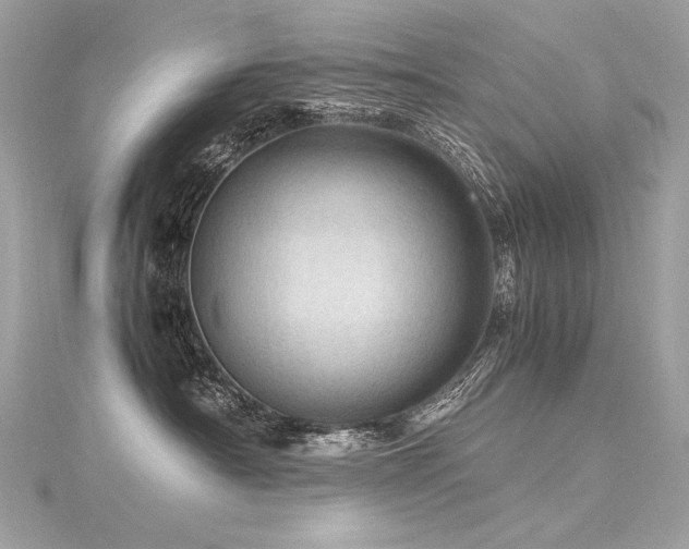 X0000116310430200911301506