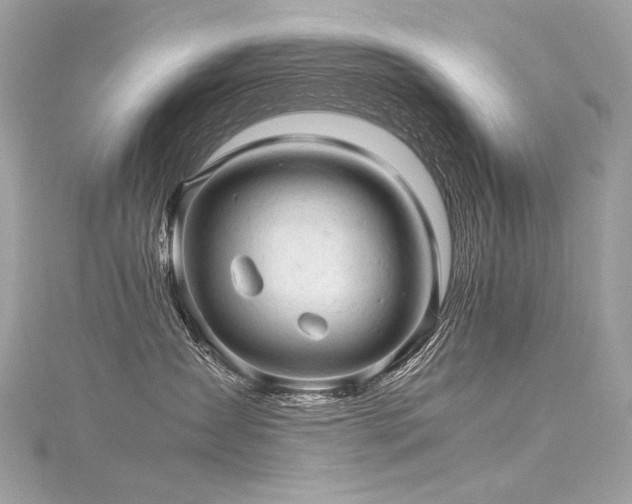 X0000116310431200911301506