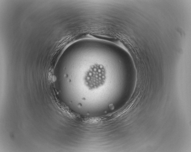 X0000116310432200911301506