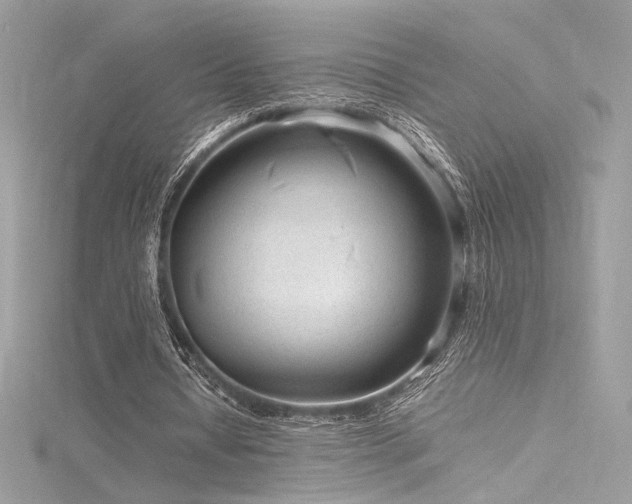 X0000116310434200911301506