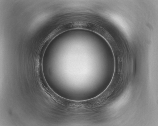 X0000116310435200911301506