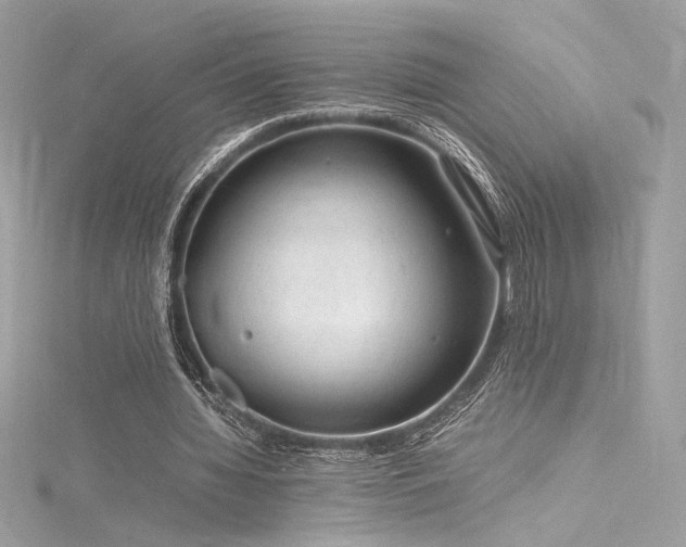 X0000116310436200911301506