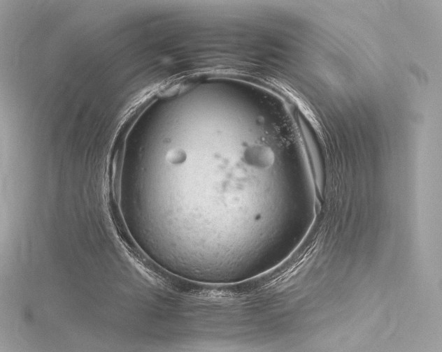 X0000116310437200911301506