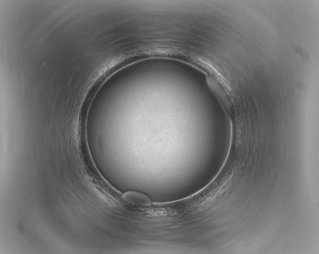 X0000116310439200911301506