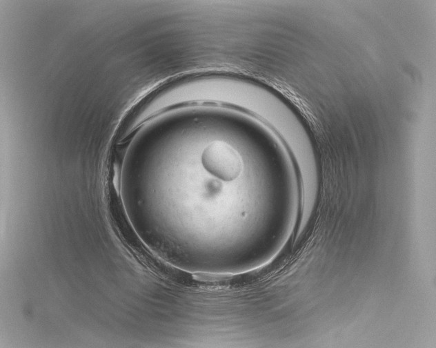 X0000116310440200911301506