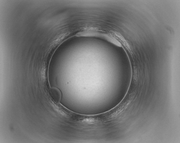 X0000116310441200911301506