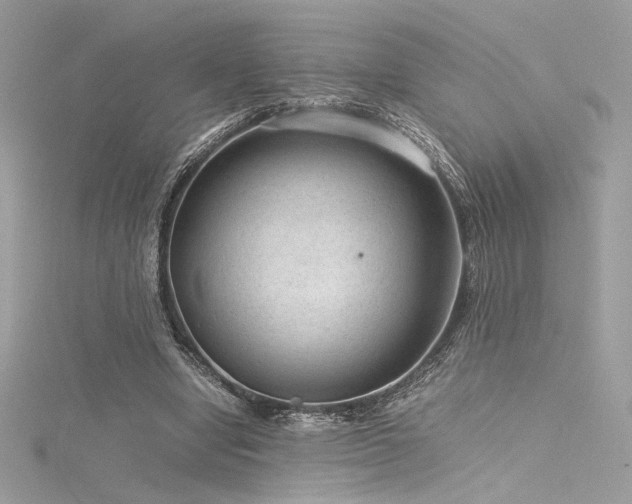 X0000116310442200911301506