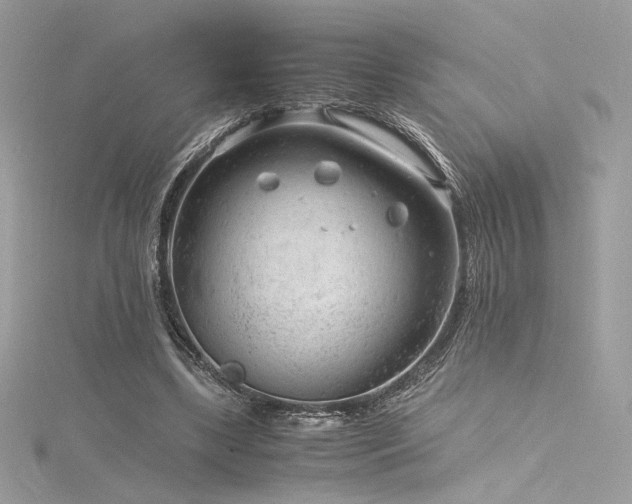 X0000116310443200911301506