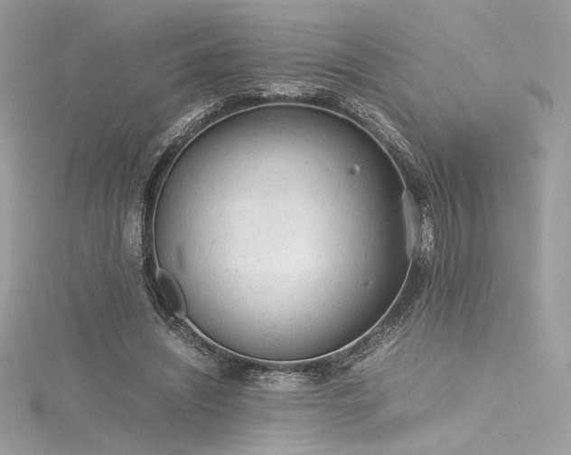 X0000116310444200911301506