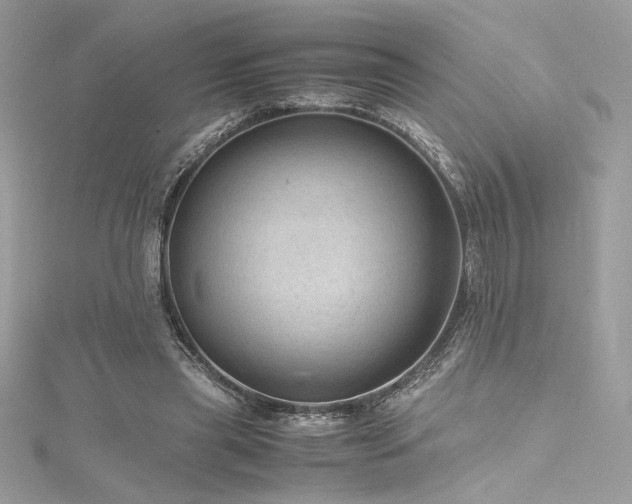 X0000116310445200911301506