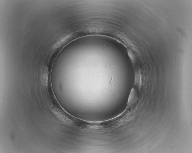 X0000116310446200911301506