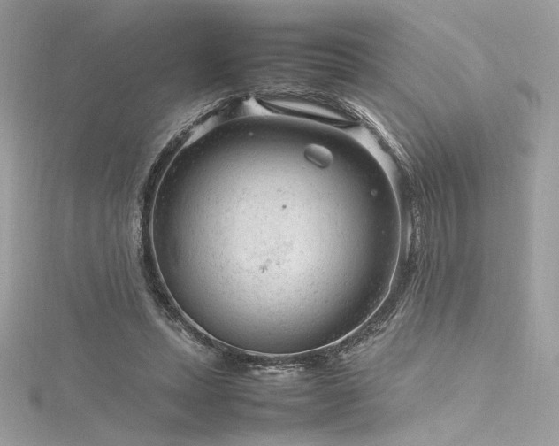 X0000116310447200911301506