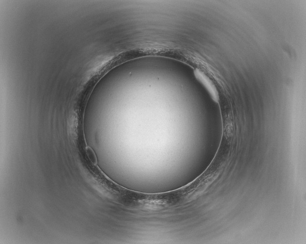 X0000116310448200911301506