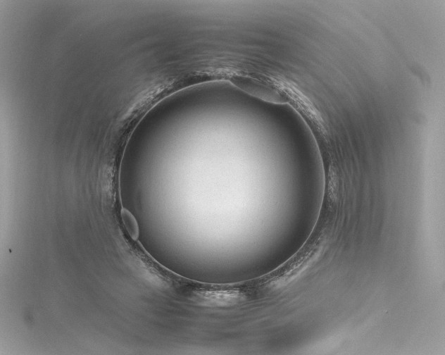 X0000116310449200911301506