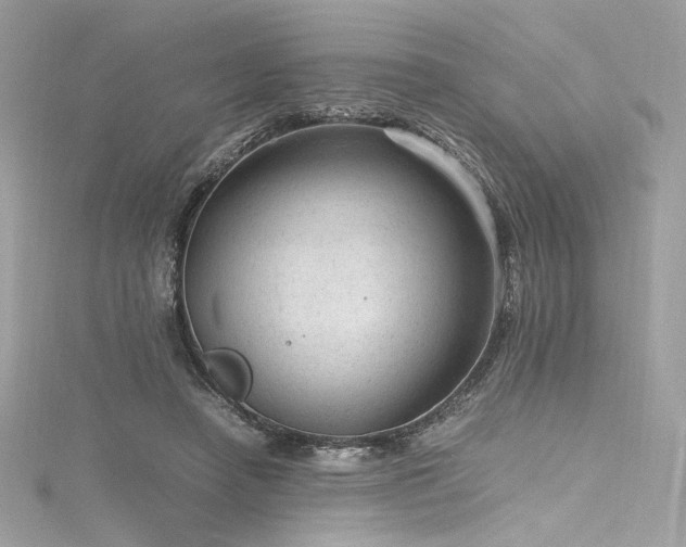 X0000116310450200911301506